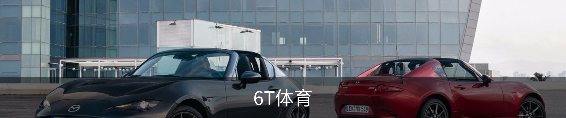 6T体育